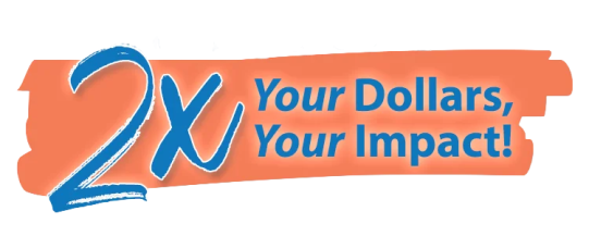 c31c8877-8605-45d1-8a33-b741229cafc4-1.png